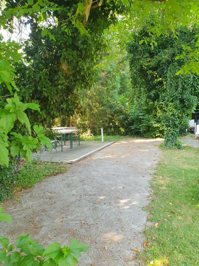 Charmantes Haus Mit Terrasse Und Grossem Garten Langenzersdorf エクステリア 写真